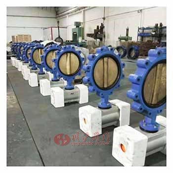 單夾式手動(dòng)蝶閥圖片