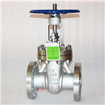 美標(biāo)法蘭閘閥